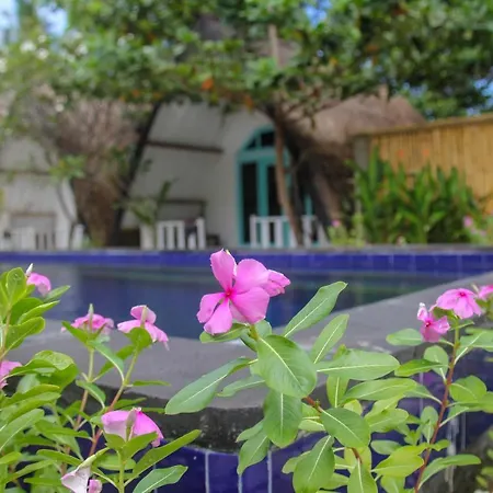 Lucky'S Hostel